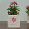 Gift Planter Set With Logo And Message Customisation