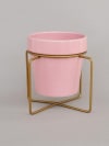 Gift Planter With Gold Stand - Ceramic