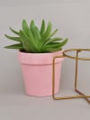 Buy Planter With Gold Stand - Ceramic