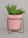 Shop Planter With Gold Stand - Ceramic