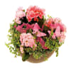 Planting in a low bowl, florist's choice Online