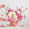 Buy Plush in Pink