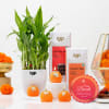 Premium Natures Delight Diwali Hamper Online