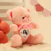 Gift Pretty Pink Teddy Bear With Personalized Heart Panel