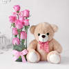 Pristine 10 Pink Roses in Vase with Teddy Online
