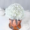 Gift Pristine Beauty Flower Vase
