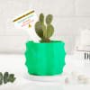 Proceed With Caution - Planter With Personalized Acrylic Tag Online