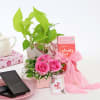 Prosper Pink for Dearest Mum Online