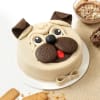 Pug Face Truffle Cake (2 Kg) Online