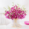 Gift Purple Orchid Elegance