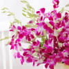 Shop Purple Orchid Elegance