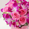 Shop Purple Orchids & Pink Roses In Round Vase