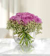 Purple Rose Rendezvous Online