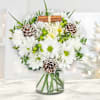 Radiant Christmas White Chrysanthemum Arrangement Online