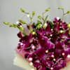 Shop Radiant Orchid Elegance With Lights