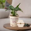 Rakhi with Peace Lily in Self-watering Planter Online