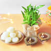 Rasgulla And Diyas With Bamboo Plant Online