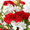 Gift Red Carnations Christmas Arrangement