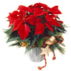 Red Poinsettia Basket Online