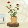 Buy Red Rose Wishes Plant