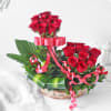 Gift Red Roses in Basket with Cute Teddy