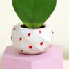Buy Romantic Hoya Heart Plant with Planter
