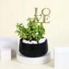 Gift Romantic Jade Plant with Love Tag
