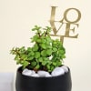 Shop Romantic Jade Plant with Love Tag