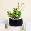 Romantic Jade Plant with Love Tag Online
