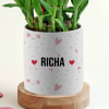 Gift Romantic Personalized Pot with Bamboo Plant