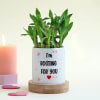 Romantic Personalized Pot with Bamboo Plant Online