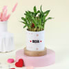 Buy Rooting for you Personalized Plant Gift