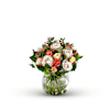 Rosa Online
