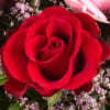 Gift Rose Bouquet Harmony With Vase & 2 Ferrero Rocher