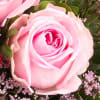Buy Rose Bouquet Harmony With Vase & 2 Ferrero Rocher