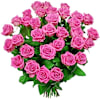 Rose poem flowers Online