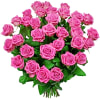 Rose poem flowers Online