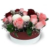 Rosemarkie - Roses Bouquet Online