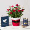 Santa Red Rose Gift Online