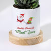 Gift Santa's Favourite - Haworthia Succulent With Pot