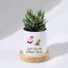 Santa's Favourite - Haworthia Succulent With Pot Online