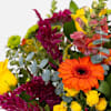Gift Seasonal Bright and Bold