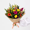 Seasonal Bright and Bold Online