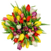 Seasonal Tulips Bouquet Online