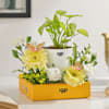 Gift Serene Bloom Plant Arrangement