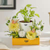 Serene Bloom Plant Arrangement Online