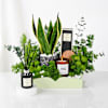 Gift Serene Green Luxe Hamper