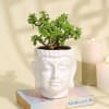 Serene Jade Plant in a Ceramic Buddha Planter Online