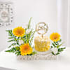 Buy Serene Sunshine