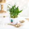Serene Two-Layered Bamboo Plant With Metal Diyas Online